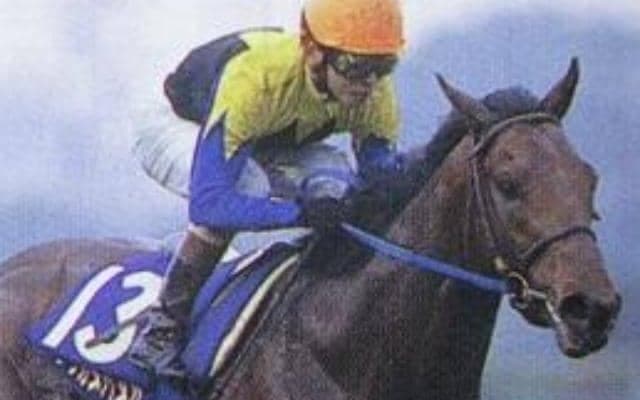 3頭目のキングカメハメハで悲願成就 “マツクニローテ”完成から20年