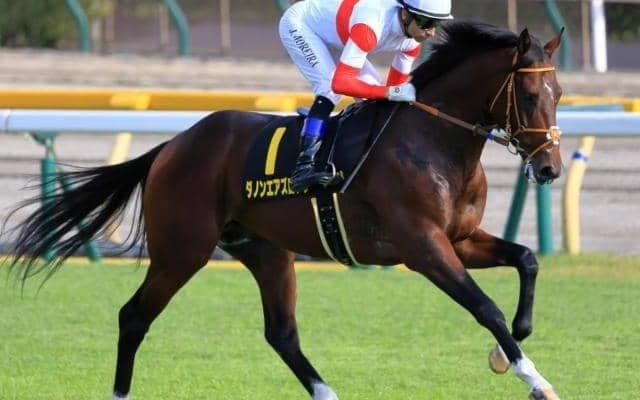 4億5000万円の超高額馬 プリンシパルSでダービーへの最終切符獲りへ
