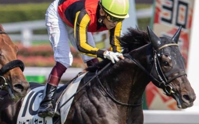 日本ダービー馬＆皐月賞馬の半弟 土曜京都5Rで初陣V狙う