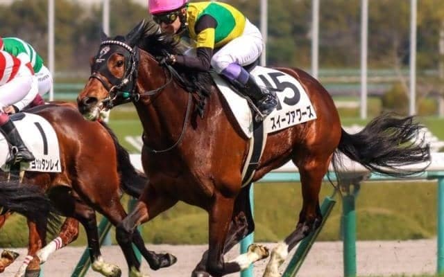 父ディープインパクト×母スイープトウショウの超良血 武豊騎手とのタッグで巻き返しへ