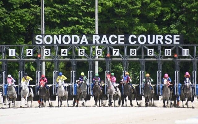 【園田・姫路競馬】芦毛だよ全員集合！11頭立ての芦毛レースが話題