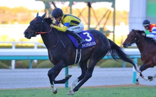 【NHKマイルC】出走馬の調教後の馬体重