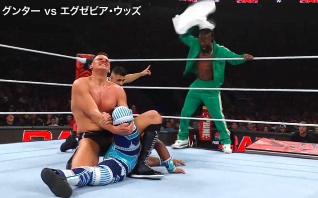 プロレスで異例の“あわや”タオル投入 足を完全破壊に「容赦ない」ファン騒然