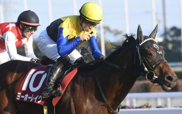 【新潟大賞典枠順確定】ヨーホーレイクは1枠1番、レーベンスティールは8枠15番