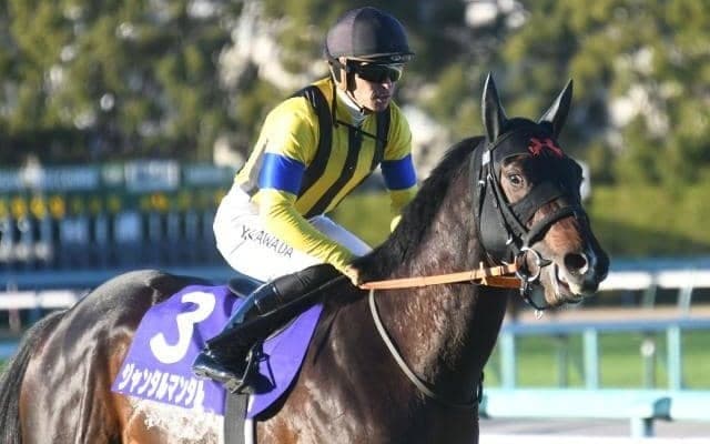 【NHKマイルC枠順確定】ジャンタルマンタルは8枠16番、アスコリピチェーノは7枠14番