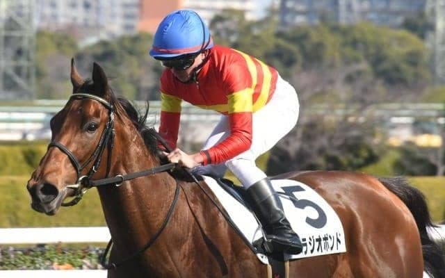 【京都新聞杯枠順確定】ベラジオボンドは5枠8番、ヴェローチェエラは4枠7番