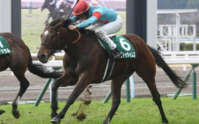 23年の小倉大賞典覇者ヒンドゥタイムズが抹消 今後は乗馬に