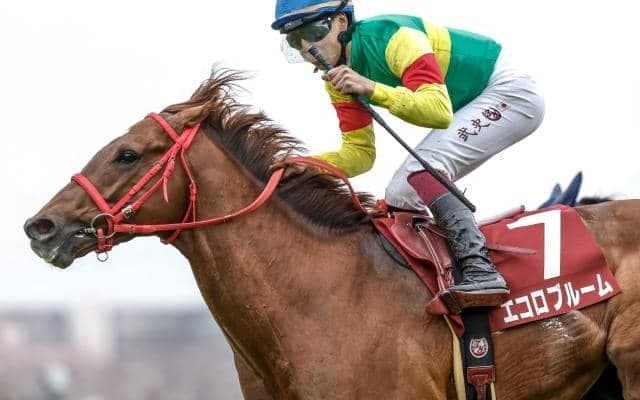 エコロブルームが骨折で6カ月以上の休養見込み 今年のニュージーランドT覇者