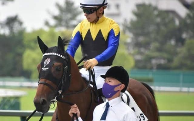 半弟は皐月賞馬ジャスティンミラノ 兄も負けじとJRA初勝利狙う