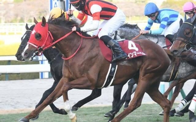 【京王杯SC想定馬・騎手】ウインマーベル、ソーヴァリアントなど14頭