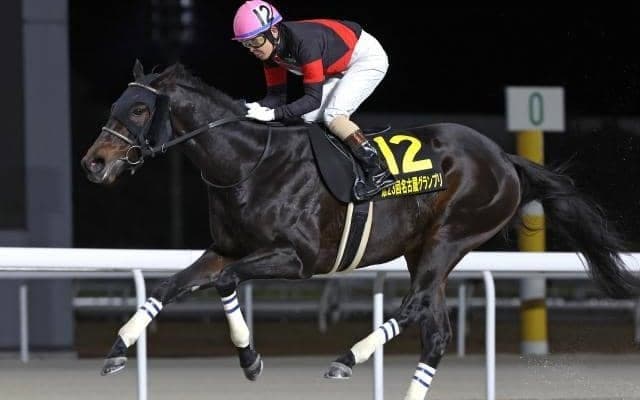 【名古屋グランプリ枠順】連覇を狙うディクテオンは4枠4番