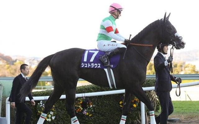 NHKマイルＣは高配当必至 脚光浴びる「２強」の陰に隠れた実績馬２頭の反撃に注意せよ