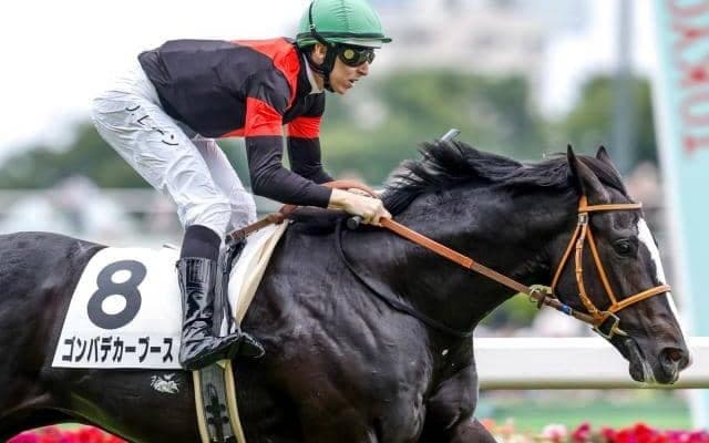【NHKマイルC予想】過去に3連単100万馬券も クラシック好走馬が波乱の歴史に挑む