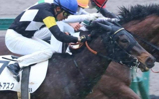 ロードカナロア×ストレイトガールの超良血馬 出世レースの橘Sから飛躍なるか