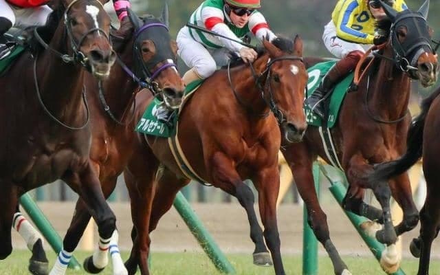 東京芝は先行できるロベルト系に注 アルセナールで好配狙い