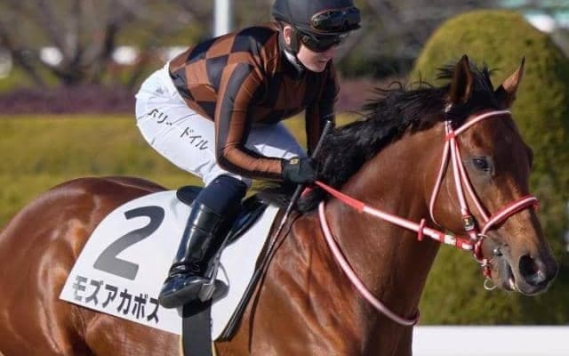 日曜京都最終に矢作厩舎が米国産馬2頭出し フォーエバーヤングとともに勝利飾るか