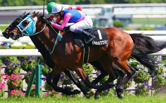 【鴨川特別】武豊騎手がJRA・4498勝目…節目まであと2勝