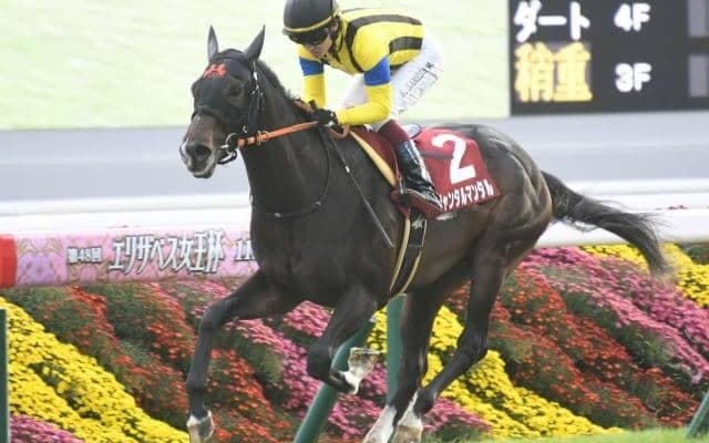 【今日の注目ポイント】GI馬2頭など好メンバーのNHKマイルC