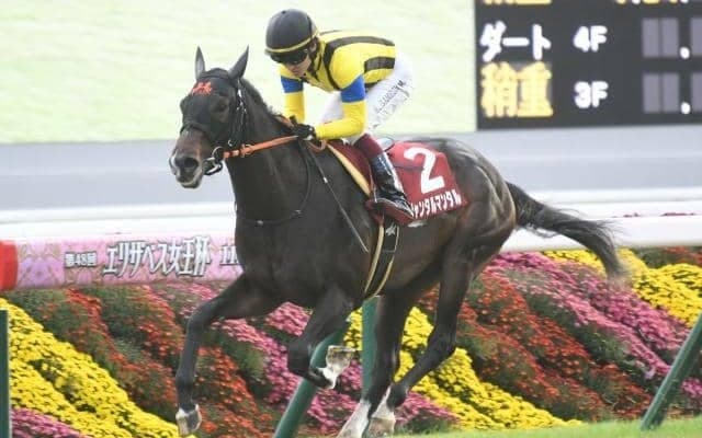 【NHKマイルC予想】3歳マイル王決定戦 今年は牡牝2歳王者の対決に注目