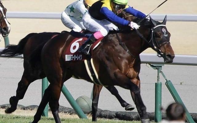 【新潟大賞典予想】人気順当にはいかない？ 難解なハンデ重賞を制するのは