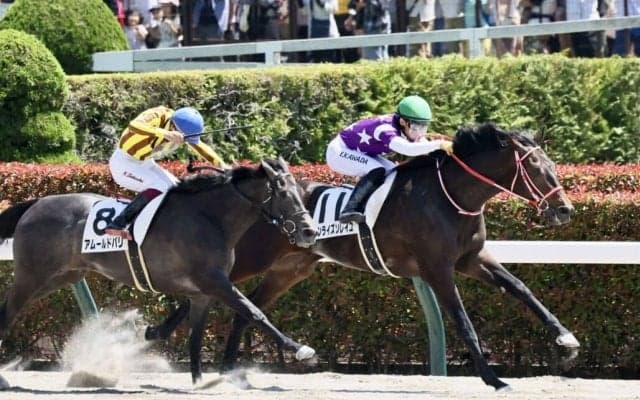 【東京5R】キズナ産駒 サンライズソレイユが人気に応える