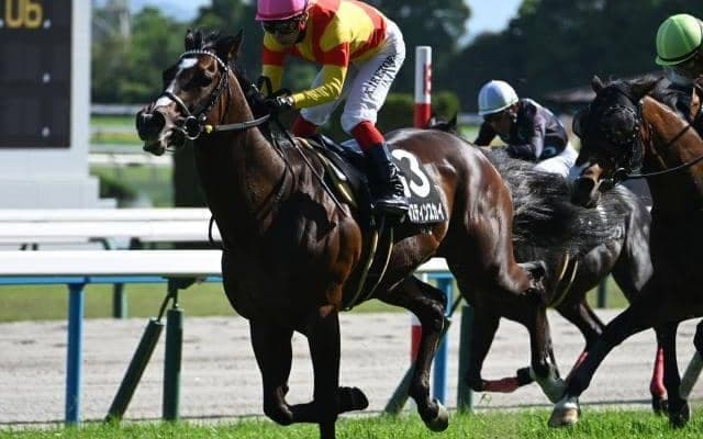 【鞍馬S結果】ジャスティンスカイが追い比べを制してV