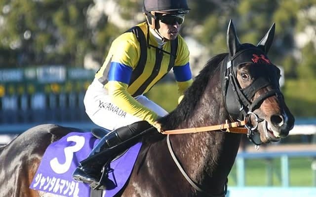 【NHKマイルC結果】ジャンタルマンタルが完勝で3歳マイル王！