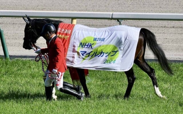 WIN5は397万円超の払戻し…NHKマイルカップはジャンタルマンタルが完勝