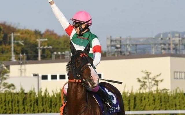 春の女王決定戦ヴィクトリアマイルなど3重賞/今週の競馬界の見どころ