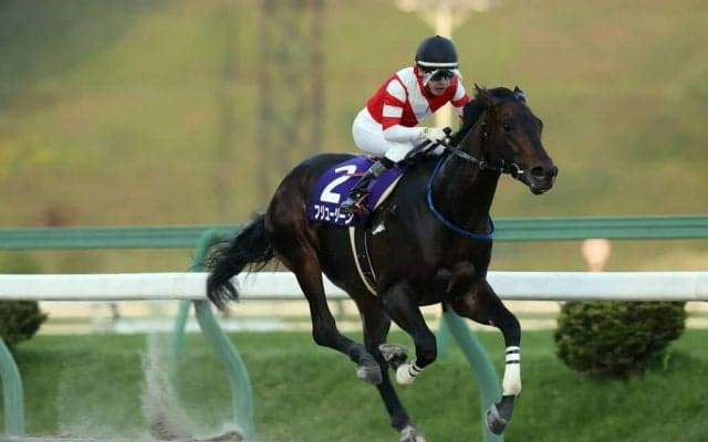 【盛岡・ダイヤモンドカップ】フジユージーンが無傷の7連勝…村上忍「どこまで成長するのか楽しみ」