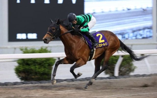 【高知・黒潮皐月賞】プリフロオールインが7連勝…宮川「この馬と高知優駿を取りたい」