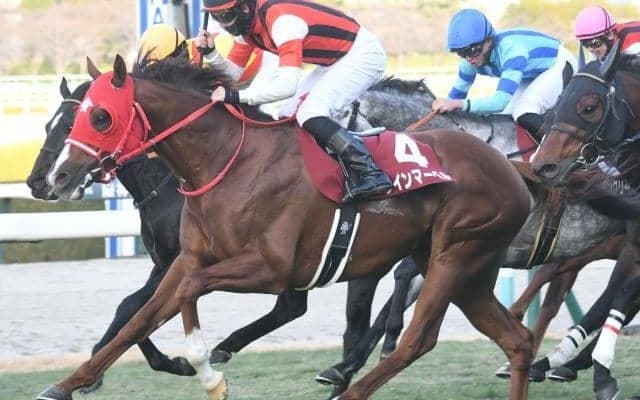 【京王杯SC見どころ】ここなら実績上位のウインマーベルが巻き返す