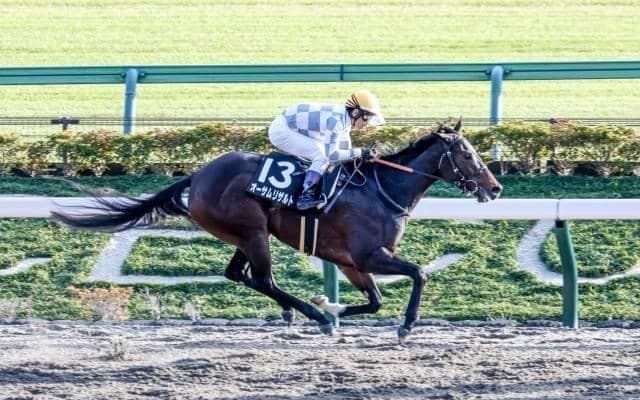 【川崎・エンプレス杯枠順】無傷5連勝中のオーサムリザルトは7枠10番