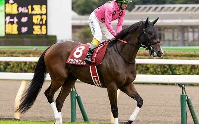 【京都HJ想定騎手】アサクサゲンキは小牧加矢太騎手、ヴァリアメンテは西谷誠騎手
