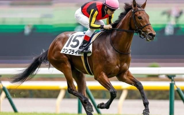 【AI予想・ヴィクトリアM】前走人気薄の取捨は着順やレース格が決め手!? 波乱も予感させる人工知能の本命候補とは