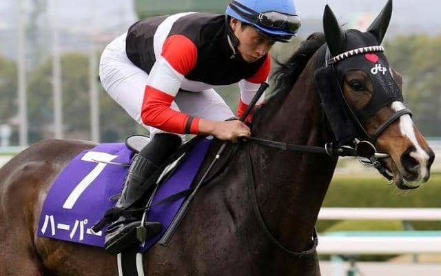 ヴィクトリアMは今年も友道厩舎に要注目 ハーパーが悲願のGI初制覇なるか