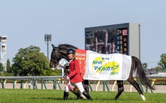 3歳マイル王者の父パレスマリス 血統から見える日本の芝への適性の高さ