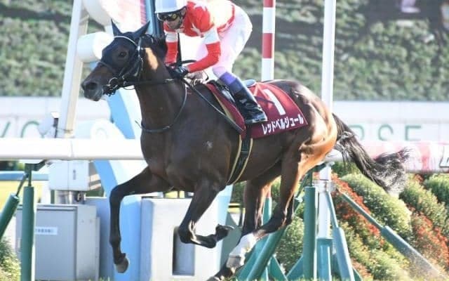 ホッカイドウ競馬で新馬戦が開幕！ 新種牡馬で最初に勝ち上がりを果たしたのは？