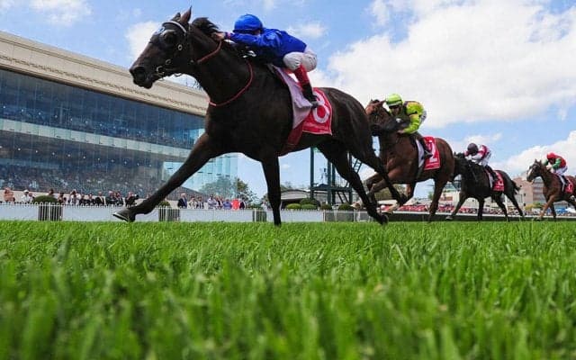 【ヴィクトリアマイル／危険な人気馬】4歳一角は“消し”判断　「馬券内率10%」程度では簡単に飛びつけない