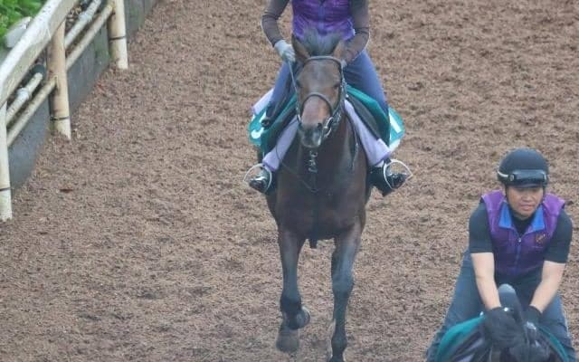 シャリオドールの2022(アスククラウンモア)など、先週の入厩情報/栗東トレセンニュース