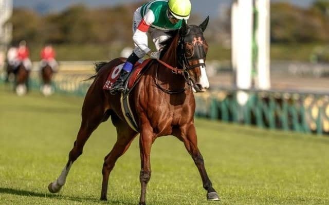 【ヴィクトリアM予想オッズ】ナミュールが予想1番人気