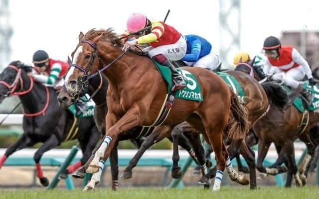 【京王杯スプリングC予想オッズ】トウシンマカオが予想1番人気