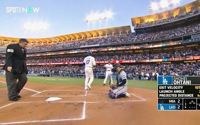 ショウヘイ、さすがだよ！大谷翔平の圧巻11号特大弾を出迎えたフリーマンの仕草が「イケメンすぎて沼」 控えめなMVP男のさりげない“賞賛タッチ”にファンメロメロ