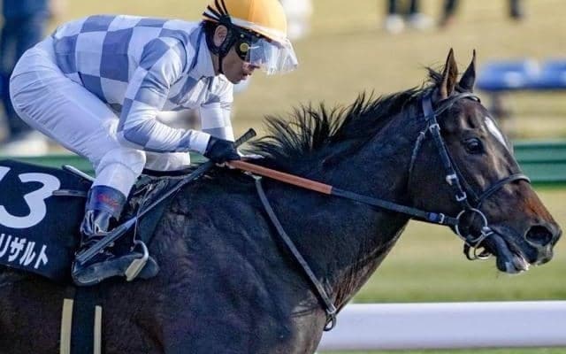 武豊騎手と5戦無敗の怪物が女王の座を狙う/川崎・エンプレス杯注目馬