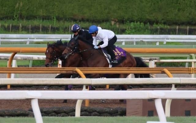 ジャスティンミラノ、日本ダービー2週前追い切り速報/栗東トレセンニュース