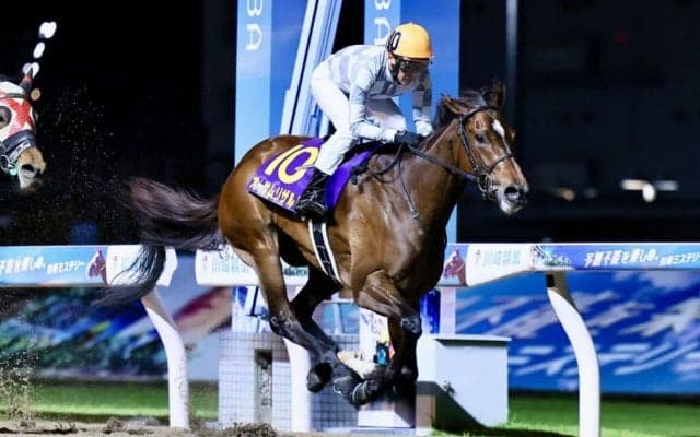 【川崎・エンプレス杯】武豊オーサムリザルトが無傷の6連勝で重賞初制覇