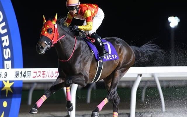 【門別・コスモバルク記念結果】三冠馬ベルピットが圧勝で重賞6勝目を挙げる