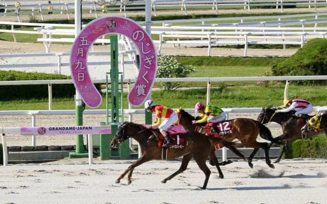 【園田・のじぎく賞】ニジイロハーピーが重賞連勝…大畑雅「手応え良くなかった」