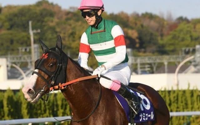 【ヴィクトリアM枠順確定】ナミュールは6枠10番、マスクトディーヴァは4枠6番