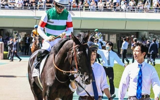 豪G1覇者の仔 ルメール騎手を鞍上に迎え復帰戦を白星で飾れるか